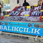 Balık Tezgahı 06